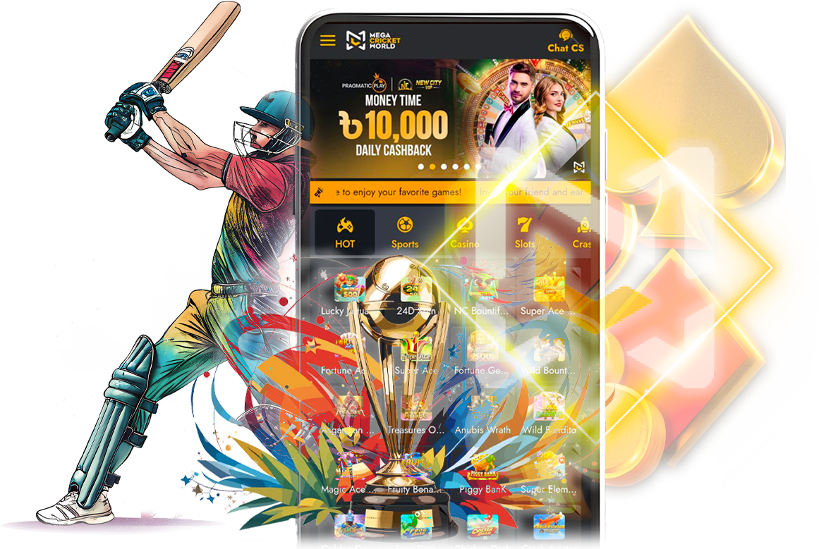 Interface Designed for Cricket